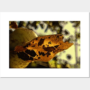 leaf with apple Posters and Art